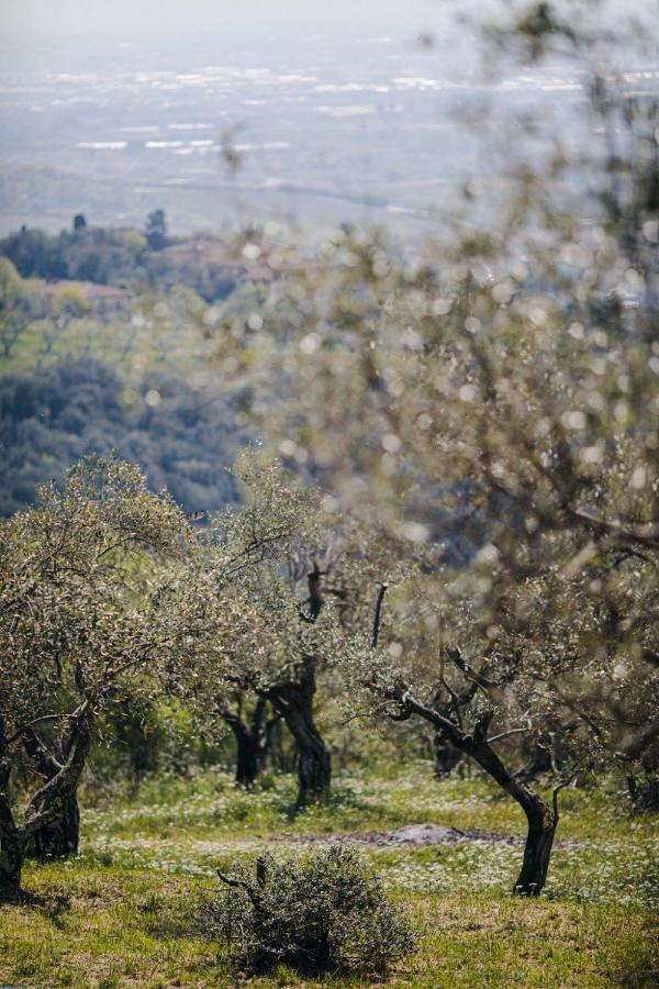 Villa Desiderio Tuscany Пистойя Экстерьер фото